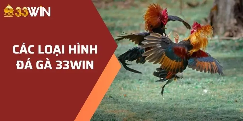 Đá Gà Cựa Dao 33win