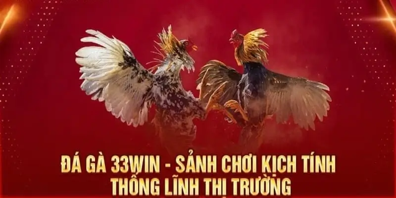 Tổng Quan Về Đá Gà 33win